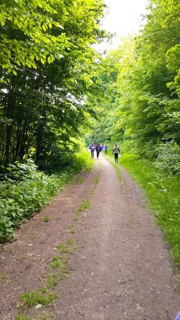 IMG-20250507-WA0007