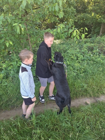 IMG-20250615-WA0010