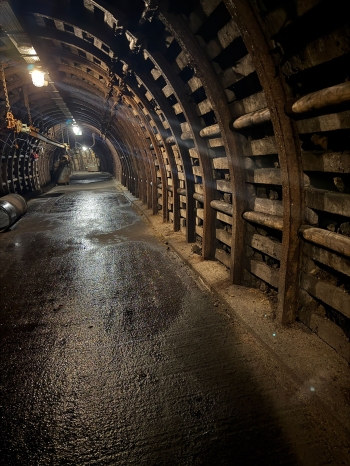 WhatsApp Image 2026-01-07 at 13.45.43 (1).jpeg