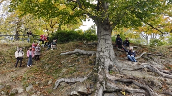 WhatsApp Image 2026-01-07 at 13.45.44.jpeg