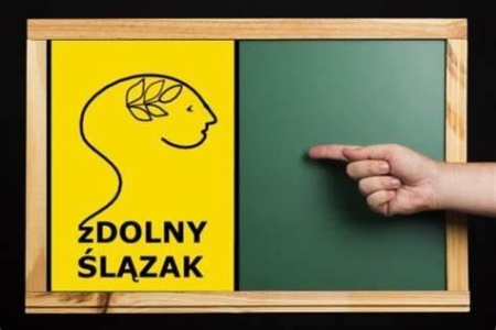  zDOLNY ŚLĄZAK - sukces ucznia