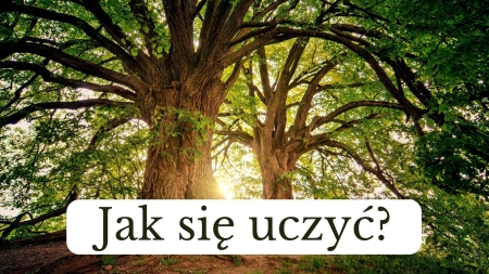 Jak się uczyć? Spróbuj - to działa!