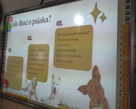 Dzień Zwierząt 