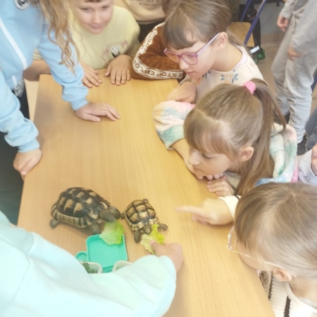 Lekcja o gadach w klasie 3