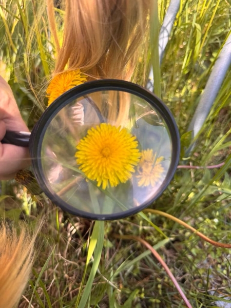 EKSPERYMENTY DLA DZIECI